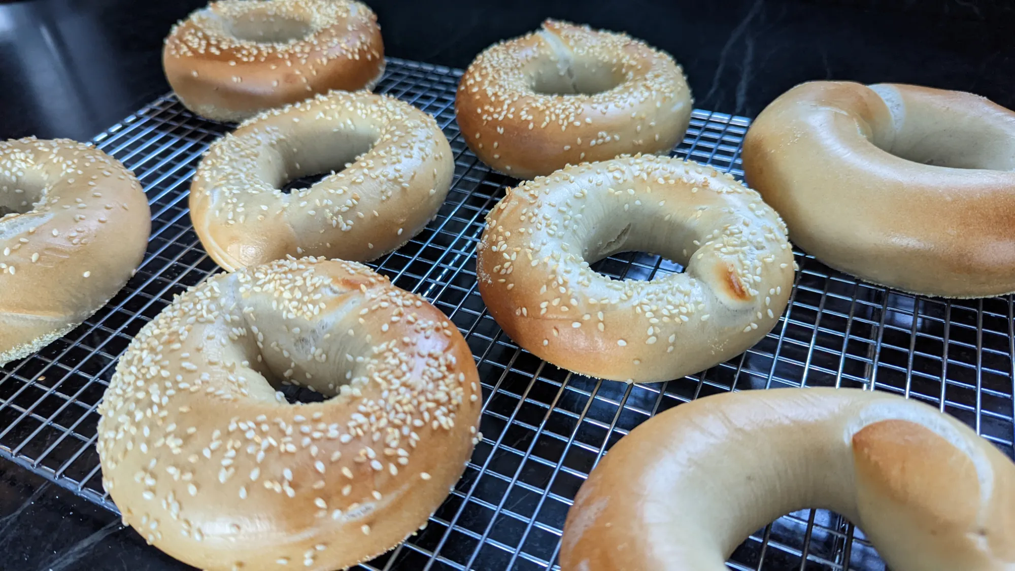 My first batch of bagels, cooling on a rack.